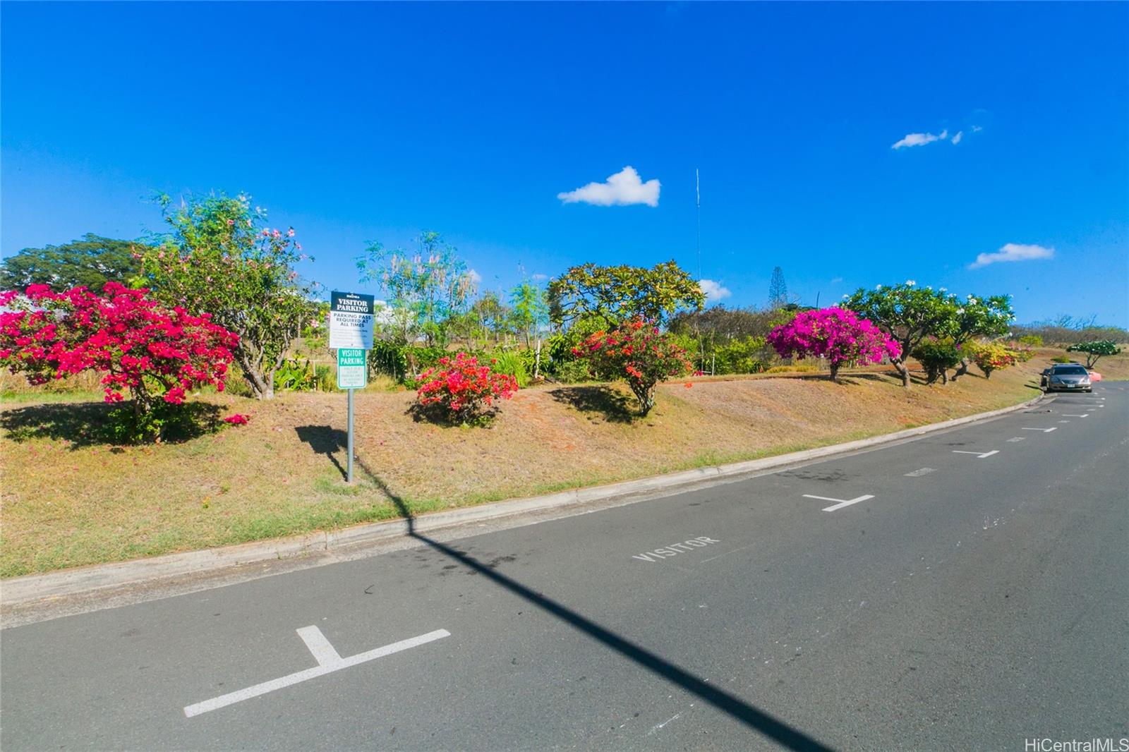 1345 Kipaipai Street Unit 17D 1345 Kipaipai Street Unit 17D